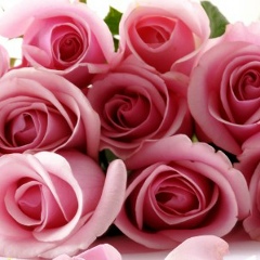 Анжелика Н., 21.08, Архангельск