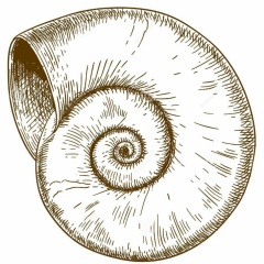 Марина Зверева, 29.05.1989, Москва