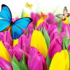 Акшолпан Утембетова, 30.10.1985, Актау