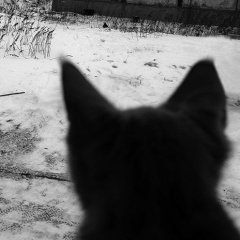 Виталий Матвеев, 11.11.1988