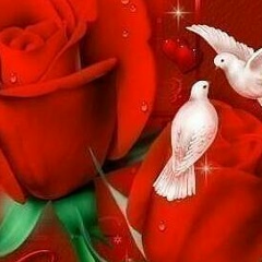 Жанна Ибраева