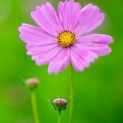 Виктория Виктория, 29.04, Караганда