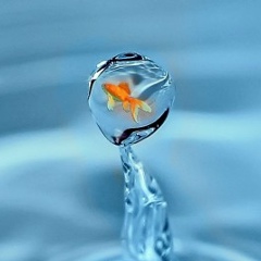 Зульфия Исанбаева, 01.07, Уфа