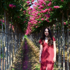 Irina Khussainova, Dubai