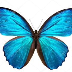 Виктория , 10.03.1992, Конаев / Капшагай