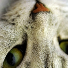 Татьяна Ким, 25.02, Калининград