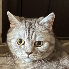 Владимир Ищук, 22.10.1969, Санкт-Петербург