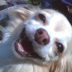 Сергей Асс, 01.12, Тюмень