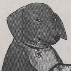 Микита Лис, 04.06.1993