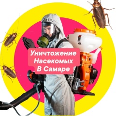 Юлия Скворцова, Самара