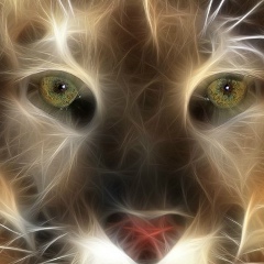 Ася Масленникова, 05.06.1979, Москва