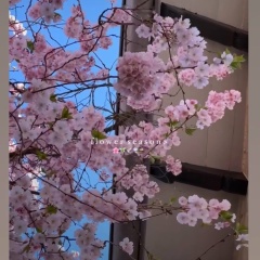 Nonna Minasyan, 19.06.1990, Капан