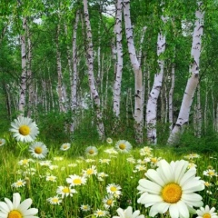 Таня Танюша, 10.02, Киров