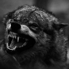 Salamat Kosherbaev, 06.07.1992, Сатпаев