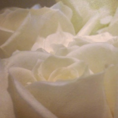 Ирина Ревун, 15.04.1985, Черновцы