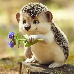 Екатерина Ти, 01.01