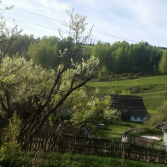 Юра Пуга, 16.08.1987, Мукачево