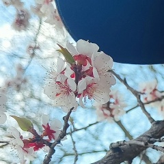 Вика Керайтите, 17.02, Биробиджан