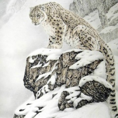 Максим Залоило, 18.11.1979, Новороссийск