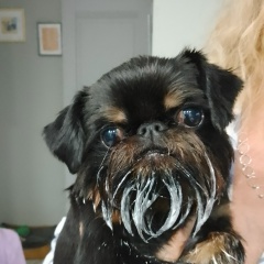 Михаил Шапуло, 06.02, Санкт-Петербург