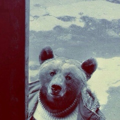 Андрей Панкратов, Москва