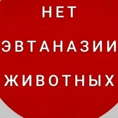 Светлана Балашова, Кунгур
