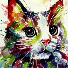 Антон Круть, 18.10