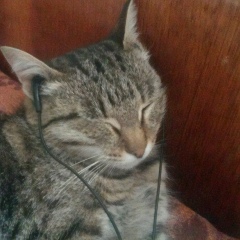 Эдуард Лобанов, 03.02.1994, Екатеринбург