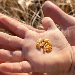 Евгений Фунтиков, 25.03.1988