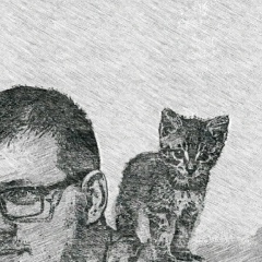 Александр Майоров, Новосибирск