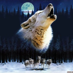 Алексей Казанцев, 22.11.1991