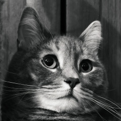 Настюха Клён, 08.11.1995, Москва