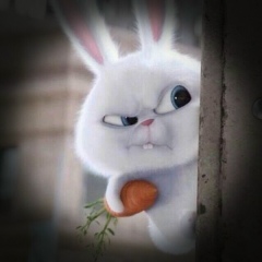 Алёна Аверина, 16.07, Ярославль