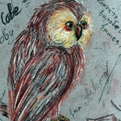 Олег Власов, 04.06.1986, Рязань