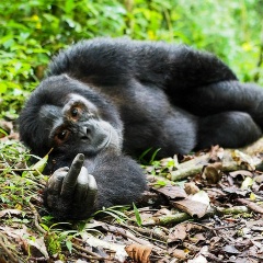 Владимир Хакимов, 02.01.1982, Екатеринбург