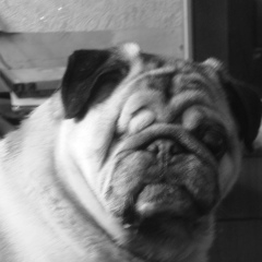 Елена Васильева, 29.11.1982, Санкт-Петербург