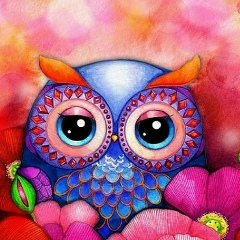 Аюна Дампилова, 29.11, Калининград