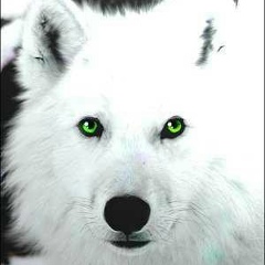 Алексей Бурцев, 16.04.1984, Яхрома