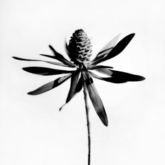 Алина Корнеева, 28.02.1991, Москва