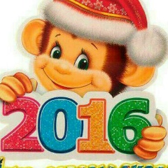 Дарибай Кулбаев, 15.06.1985