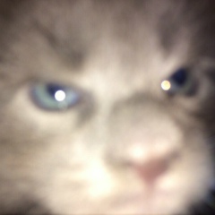 Алексей Сладков, 06.02, Москва