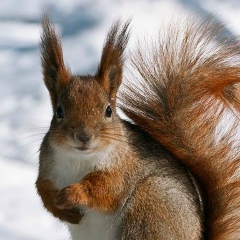 Андрій Пішко, 14.12, Львов