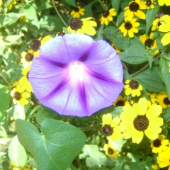 Ольга Грушко, 01.03, Торез