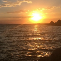 Муслим Муслимов, 12.04.1990, Махачкала