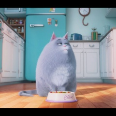 Сауле Альмагамбетова, 13.06.1984