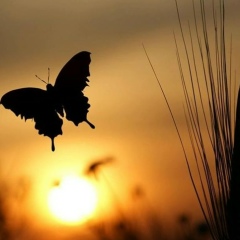 Милена Жукова, 08.03, Баксан