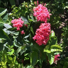 Татьяна Павленко, 04.03, Евпатория