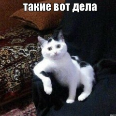 Евгений Хамин, 22.02