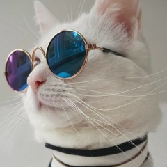 Виктория Крошка, 19.02, Ставрополь