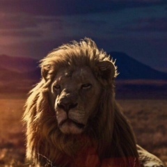 Евгений Владимиров, 23.05.1983, Владивосток